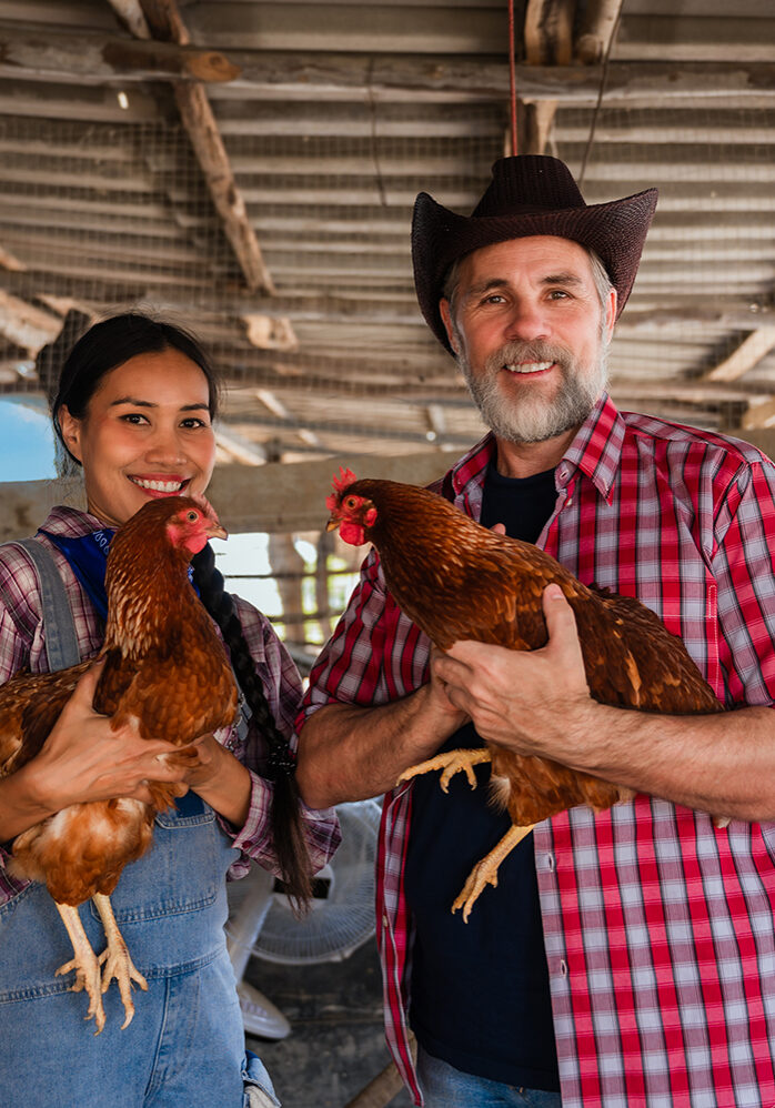 Portrait of happy senior man chicken farmer owner with his wife standing smiling and holding hen while looking at the camera on the organic farm at rural. Poultry business sustainable livestock farm.